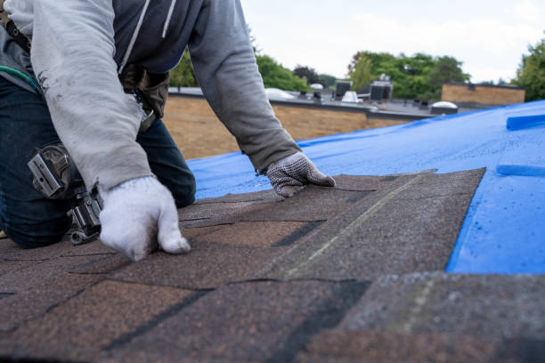 Best Roofing Contractors for Homes  in Candler Mcafee, GA