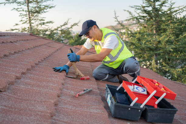 Best Roof Repair Services  in Candler Mcafee, GA